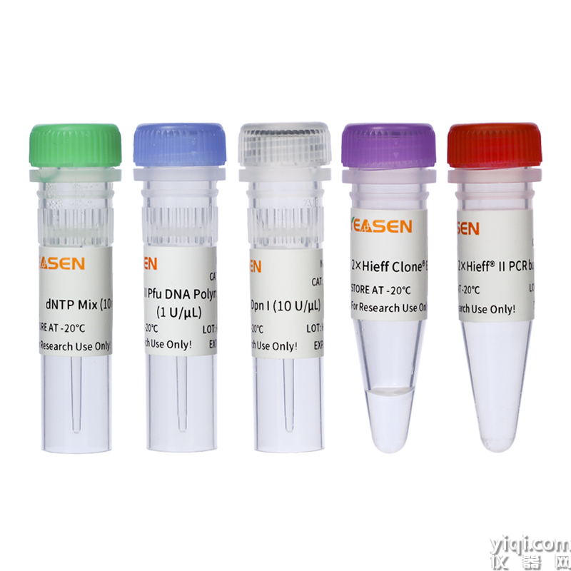Hieff Mut? Site-Directed Mutagenesis Kit 定點(diǎn)突變?cè)噭┖? width=