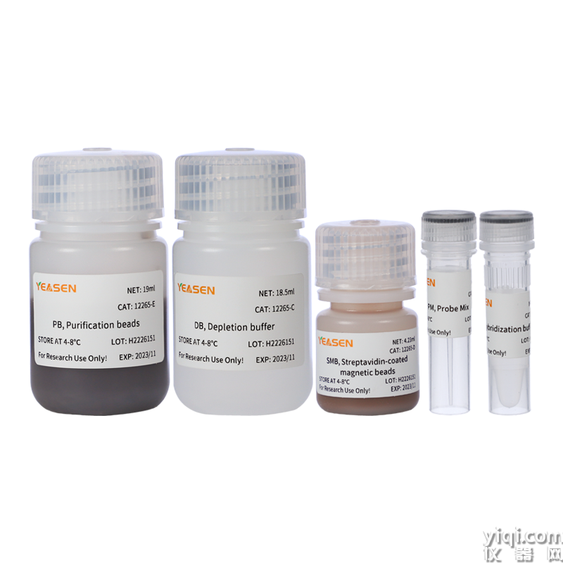 Hieff NGS? MagSP rRNA Removal Kit (Prokaryote)  with purification beads