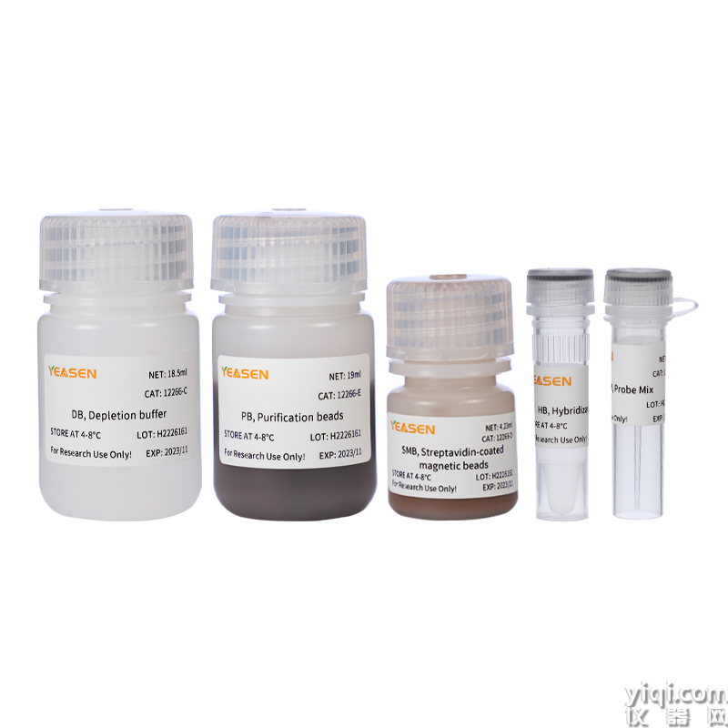 Hieff NGS? MagSP rRNA Removal Kit (Mammal)  with purification beads
