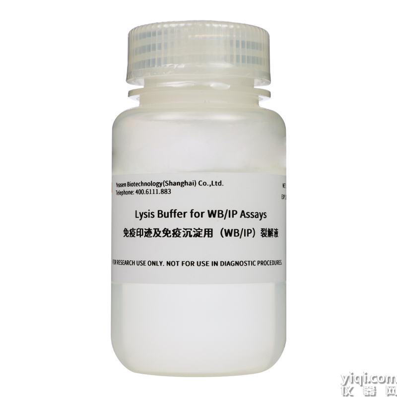 Lysis Buffer for WB/IP Assays 免疫印跡及免疫沉淀用(WB/IP)裂解液