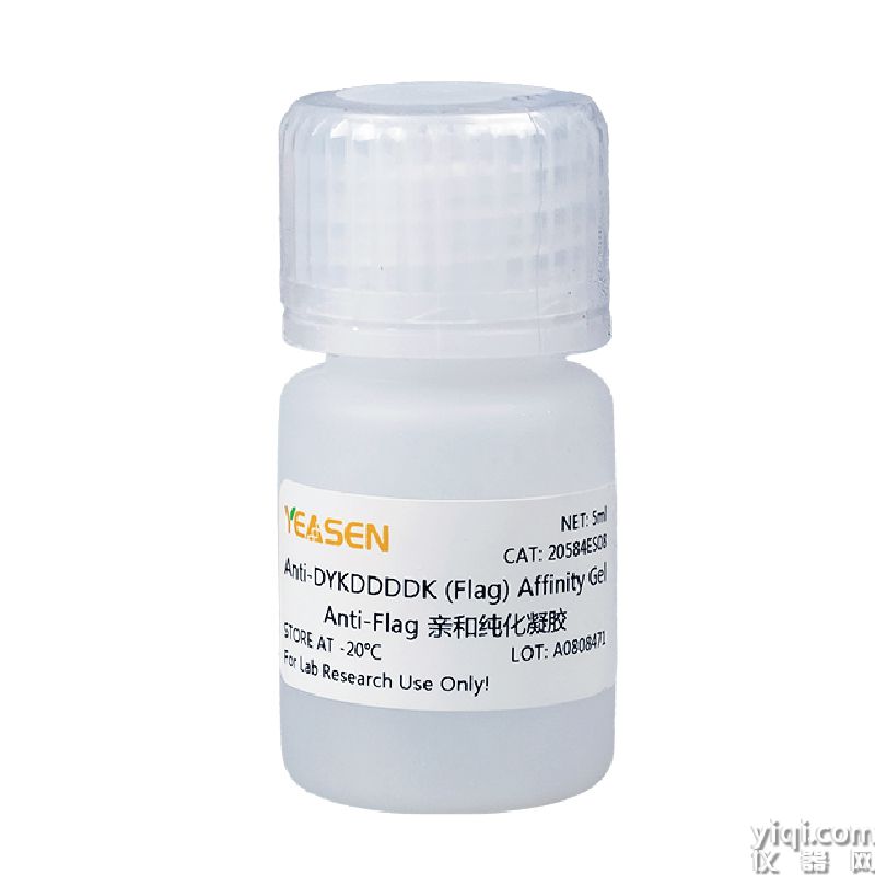 Anti-DYKDDDDK (Flag) Affinity Gel Anti-Flag親和純化凝膠
