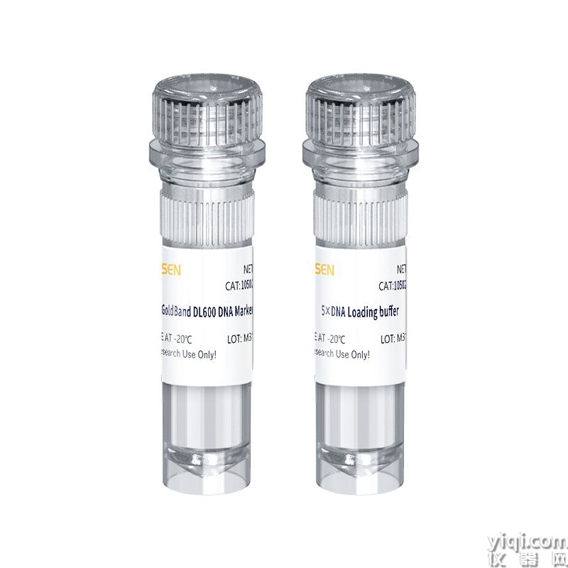 GoldBand DL600 DNA Marker