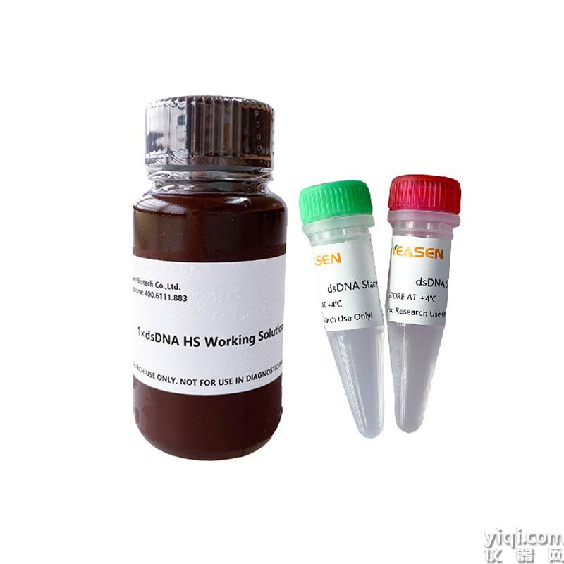 1×dsDNA HS Assay Kit